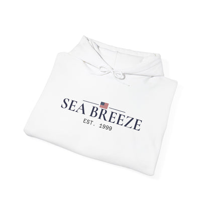 Pontoon Boat Heavy Blend™ Hooded Sweatshirt