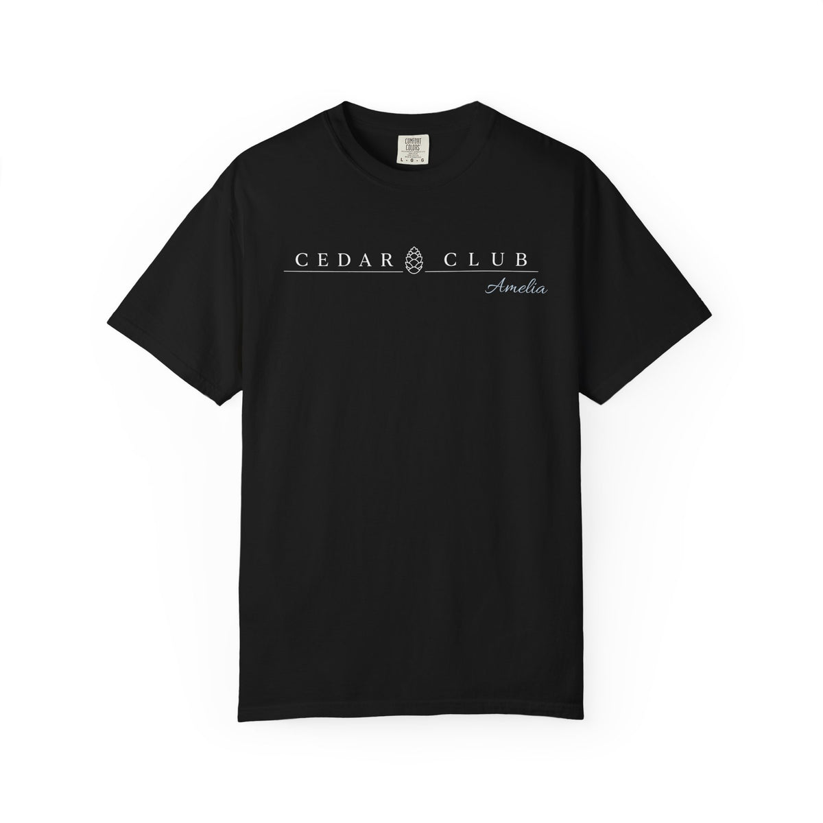 Train Wreck  Graphic T-Shirt