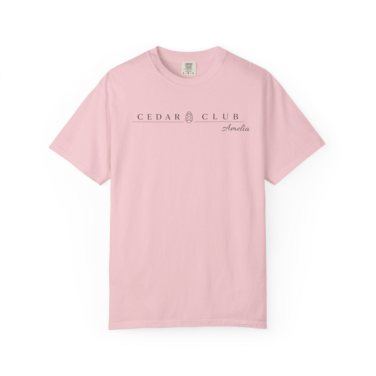 Train Wreck  Graphic T-Shirt