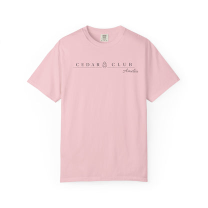 Train Wreck  Graphic T-Shirt