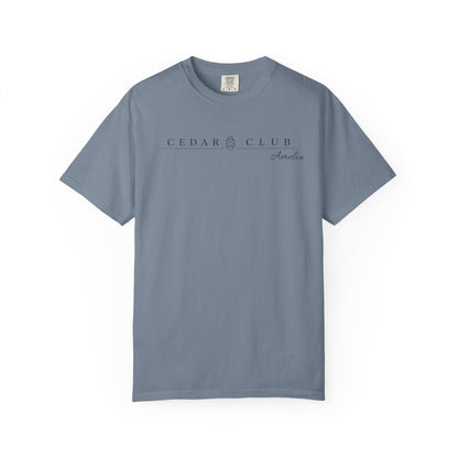 Train Wreck  Graphic T-Shirt