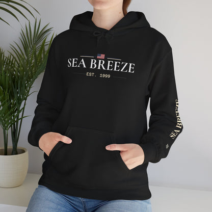 Pontoon Boat Heavy Blend™ Hooded Sweatshirt