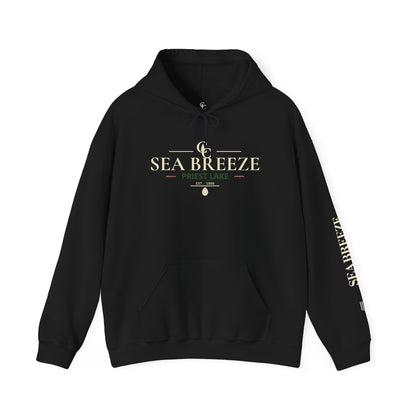 Vintage Roundabout Heavy Blend™ Hooded Sweatshirt