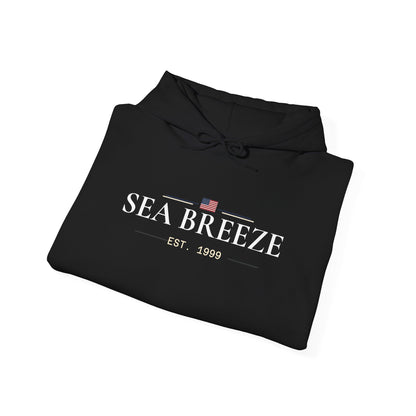 Pontoon Boat Heavy Blend™ Hooded Sweatshirt