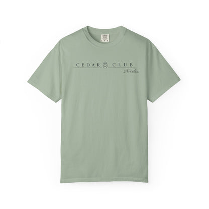 Train Wreck  Graphic T-Shirt