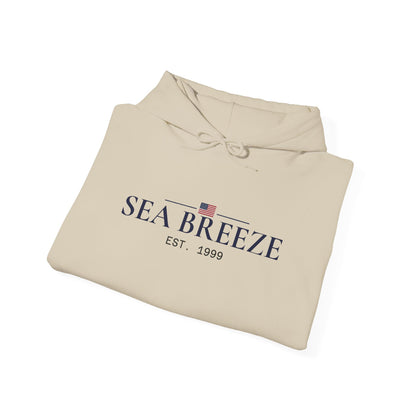 Pontoon Boat Heavy Blend™ Hooded Sweatshirt