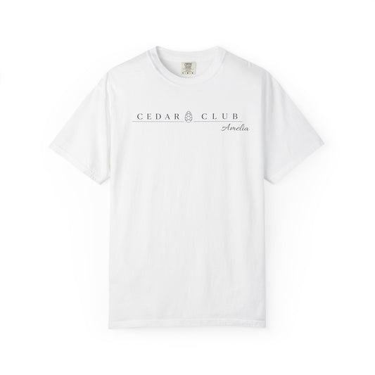 Train Wreck  Graphic T-Shirt